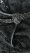 Robe longue en guipure de coton,  黒い龍*